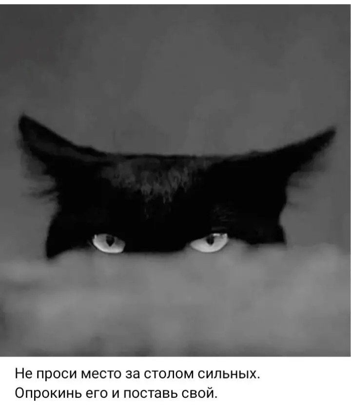 ***Victoria Viktorovna*** - 11 сентября 2025 в 04:28