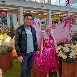 ���� ������� ��������, ������, 46 ��� - ��������� 15 ������� 2024