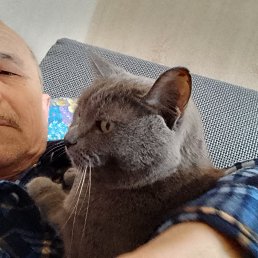 , 59, 