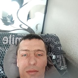 ����� �������, 41 ���, �����