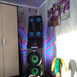 ���� �������, ������, 40 ��� - ��������� 6 ������� 2024