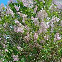 ���� ����� ����������, ������, 70 ��� - ��������� 21 ���� 2025