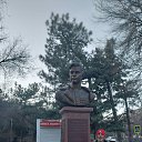  , , 53  -  18  2024    