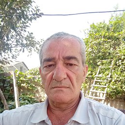, 55, 