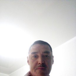 , 52, 