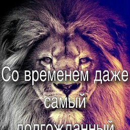 ���� ������, �����-���������, 26 ��� - ��������� 11 ��� 2026