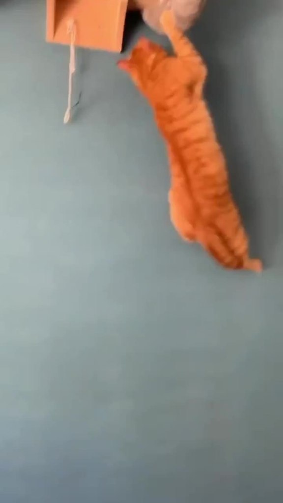         - 2