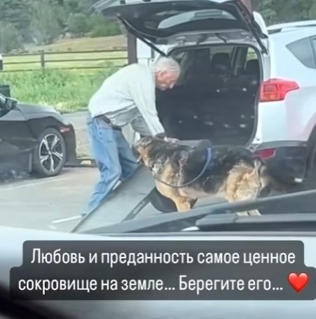        .,     ... - 2