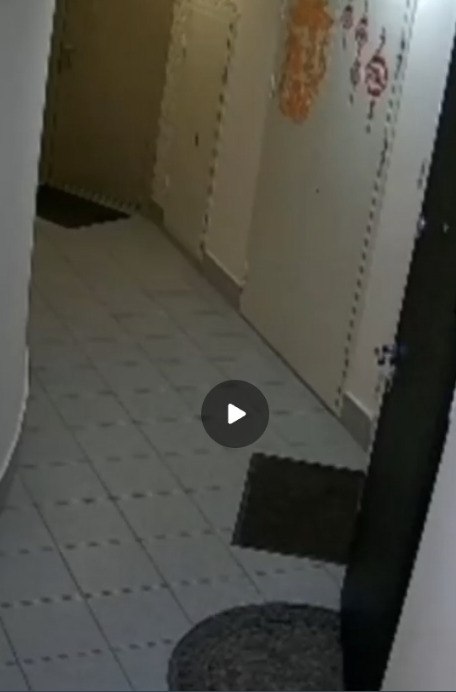 ������� � ���������� ����������� �������� ����������� �������� � �� ������ �������. ������ �������, ... - 2