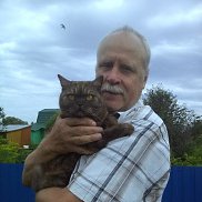 �������, 66 ���, �����