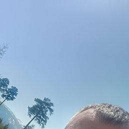 , 35, 