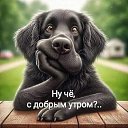  ,  -  22  2025