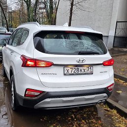 �������, ������, 61 ���