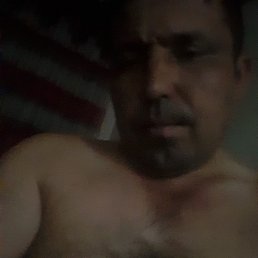 , 38, 