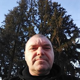 ��������, 50 ���, ����