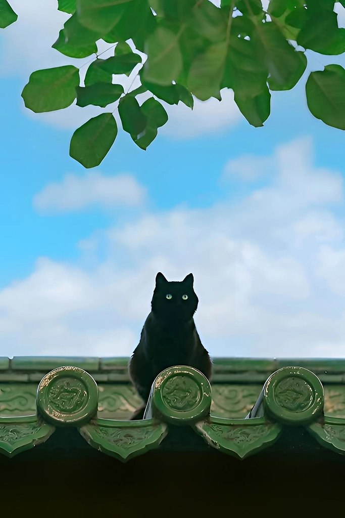       - 3