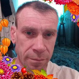 �����, ��������, 47 ���