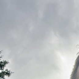 ����, �����-���������, 36 ���