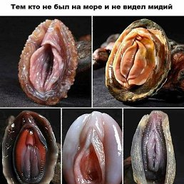 , , 43 