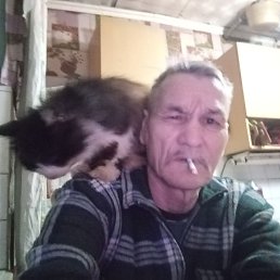 , 61, 