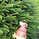 ���� ����, �����-���������, 51 ��� - ��������� 19 ������� 2025 � ������ ���� ����������