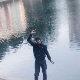 �������, ������, 36 ���