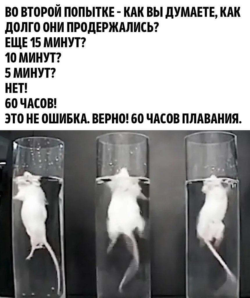      - 3