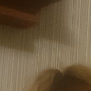 �����, 37 ���, ������