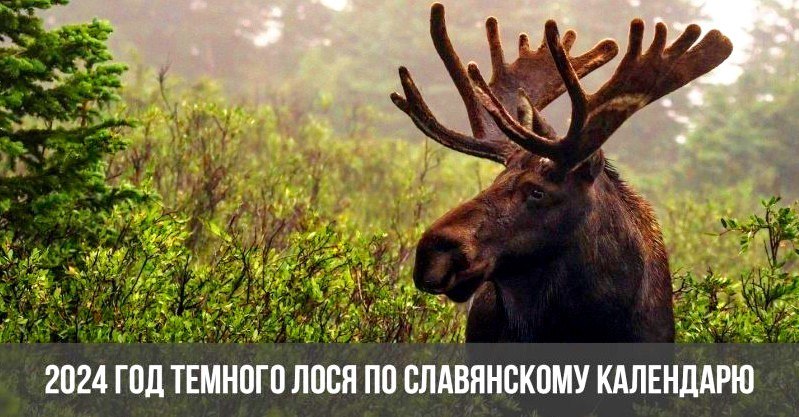  - 27  2024  11:56