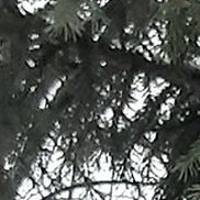, 54 , 