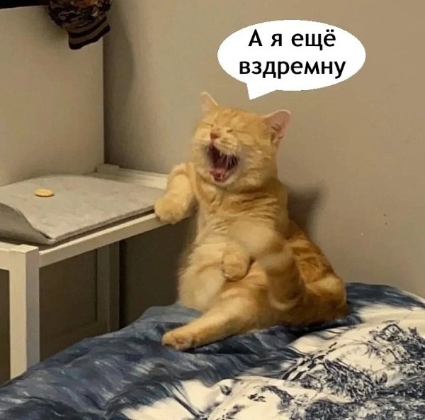  . - 6