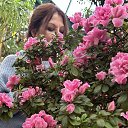 ���� *** �������***, �������� - ��������� 20 ������ 2025 � ������ ���� ����������