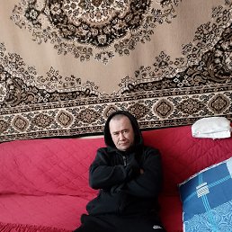 , 46,  