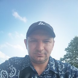 , 41, 