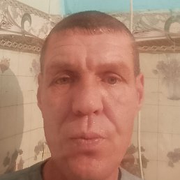 ����, ������, 40 ���