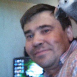Ajraton, �������, 53 ����