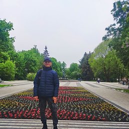 Alexandr,  