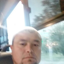 , 44, 