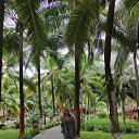 ���� �����, ����, 60 ��� - ��������� 9 ������� 2025 � ������ ���� ����������