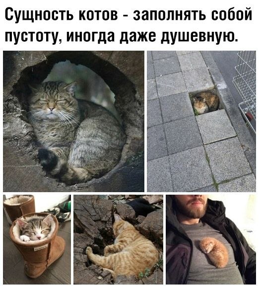   - 21  2024  20:17