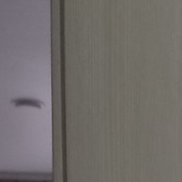 , , 47 