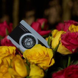 ������, ������, 33 ����