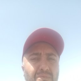 , 40, 
