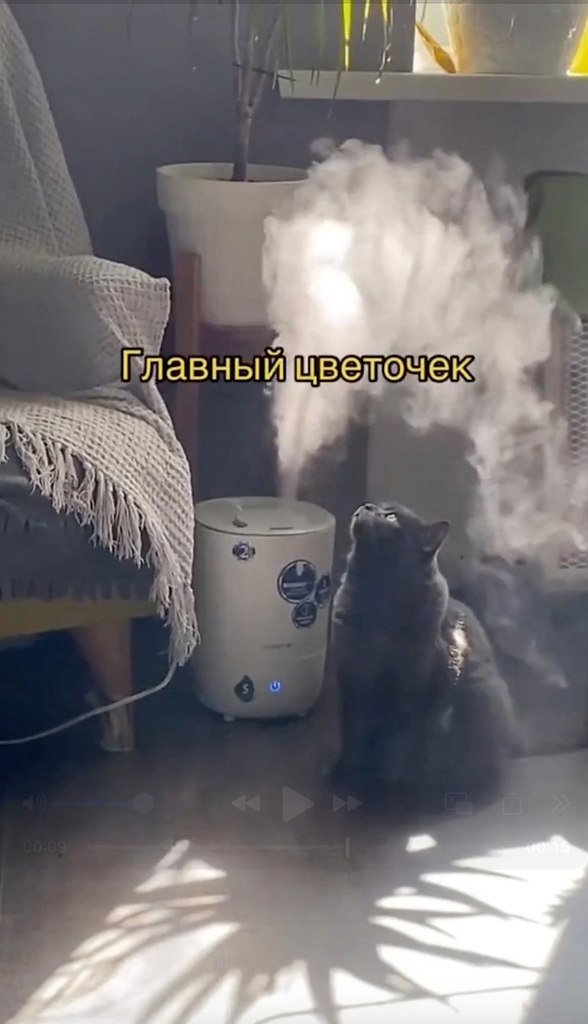    ,  ?