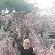 �����, 59 ���, ������