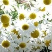 Ралина, 48 лет, Казань Ралина, 48 лет, Казань