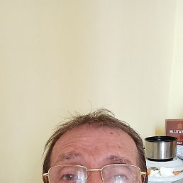 , 65, 