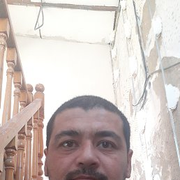 , 36, 