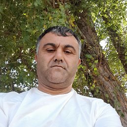 , 40, 
