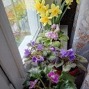 ���� �������, ����, 70 ��� - ��������� 9 ������ 2026 � ������ ���� ����������